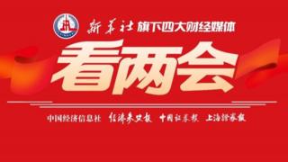 新华社旗下四大财经媒体看两会丨更好“用”更能“投” 人民币国际化驶入“快车道”