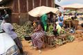 Bénin : les ananas "Pain de Sucre" en pleine récolte