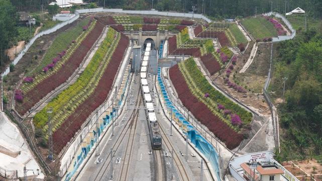 中老铁路今年进口榴莲突破5万吨