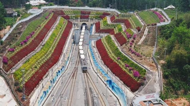 中老铁路今年累计运输进口水果超13万吨