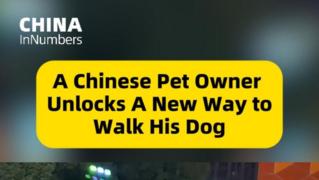 ChinaInNumbers | A Chinese pet owner unlocks a new way to walk his dog