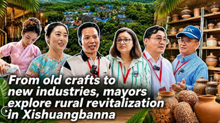 From old crafts to new industries, mayors explore rural revitalization in Xishuangbanna