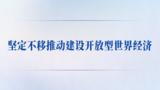 学习手记丨坚定不移推动建设开放型世界经济