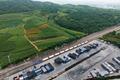 “陆良蔬菜号”中老铁路冷链班列首发