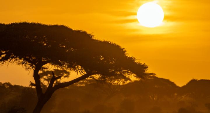 走进非洲丨在东非“野生动物天堂” 感受野性之美