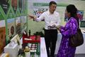 L'expérience chinoise contre la désertification présentée lors de la COP17 à Oulan-Bator