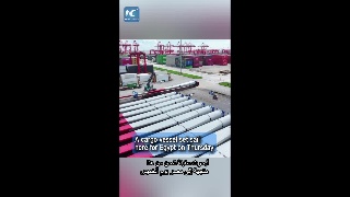 فيديو: الصين تشحن وحدات توربينات الرياح إلى مصر لمشروع لتوليد الطاقة