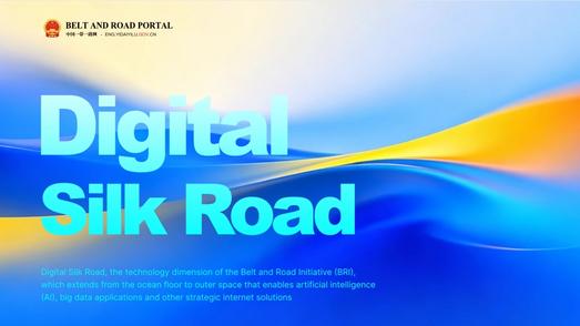 Digital Silk Road