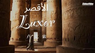 فيديو: حياة جديدة على ضفاف نهر النيل... تنقيب أثري مشترك بين الصين ومصر